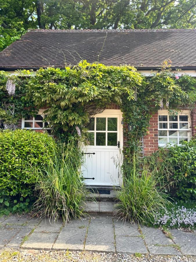 Peaceful Cottage With Private Garden Хейлшем Экстерьер фото